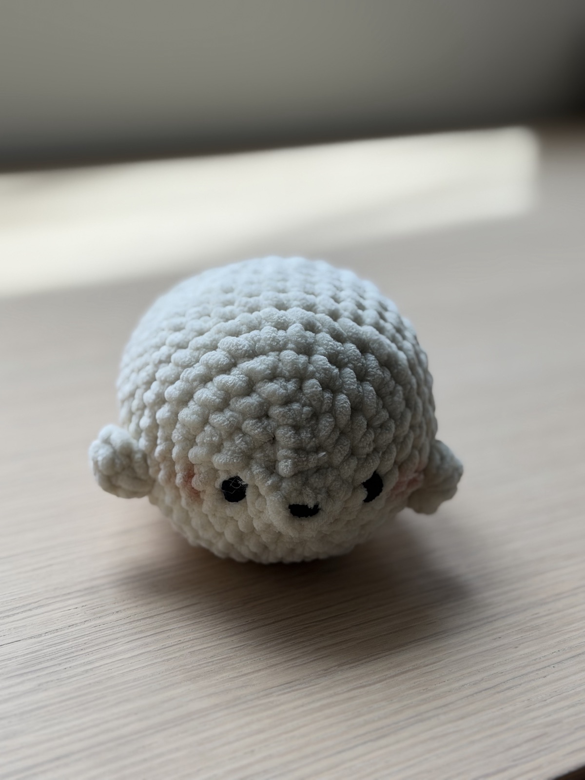 Mochi the Seal